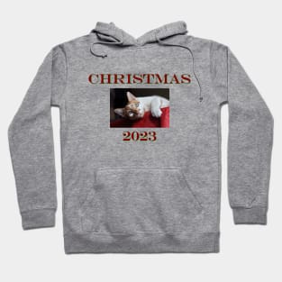 Pita Christmas Hoodie